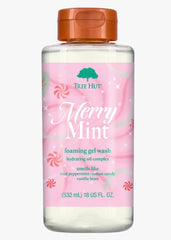 Merry Mint Foaming Gel Wash