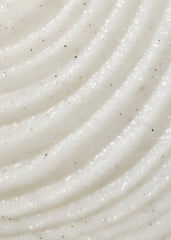 Coco Colada Shea Sugar Scrub