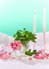 Merry Mint Shea Sugar Scrub